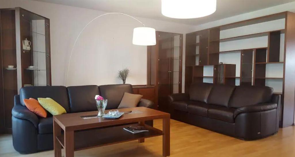 Apartment On The Boulvard Krakow Dış mekan fotoğraf